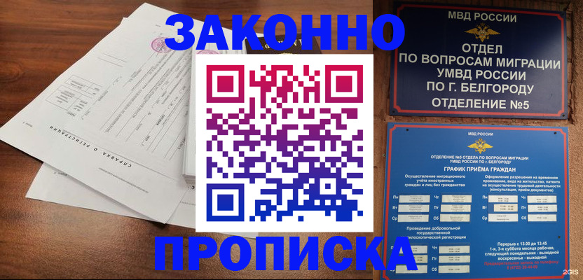 прописка в Моршанске
